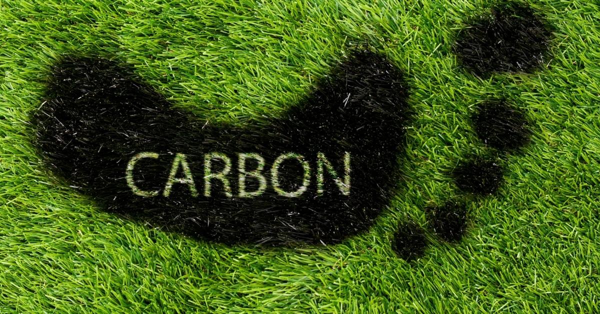 companies using credits to reduce carbon footprint