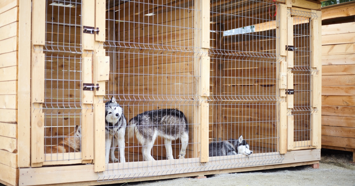 dog kennel prices