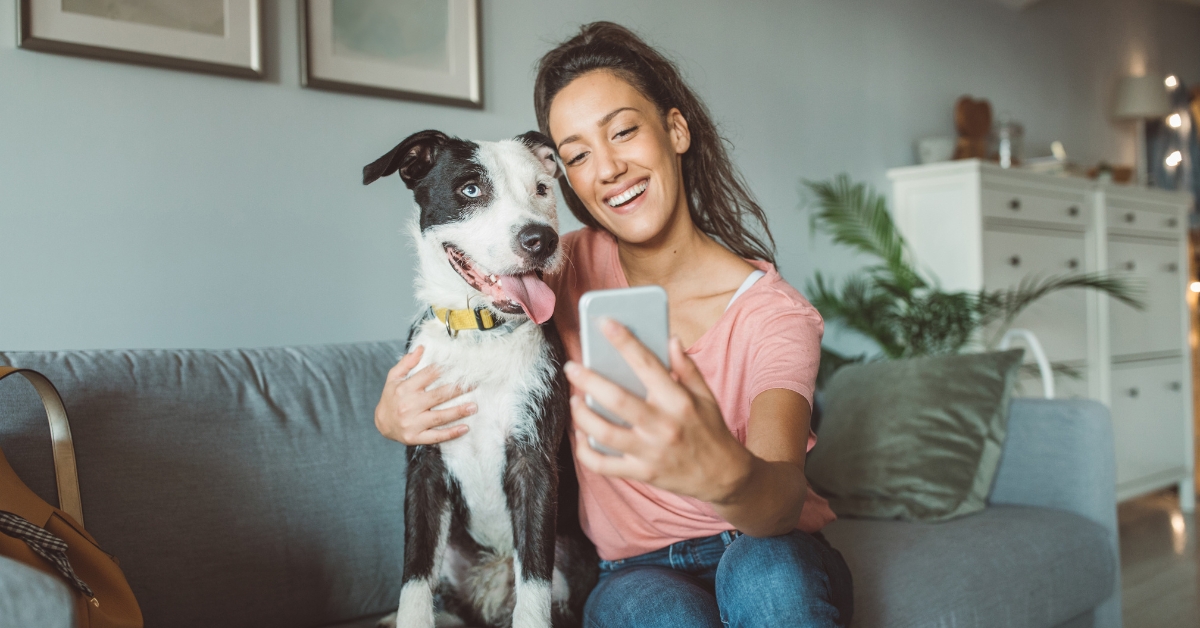 in-home dog daycare