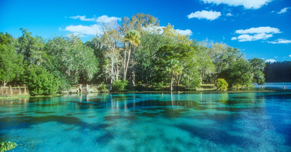 Ocala National Forest